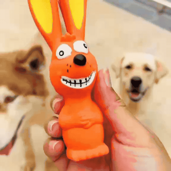 Natural Latex Dog Chew & Play Toy