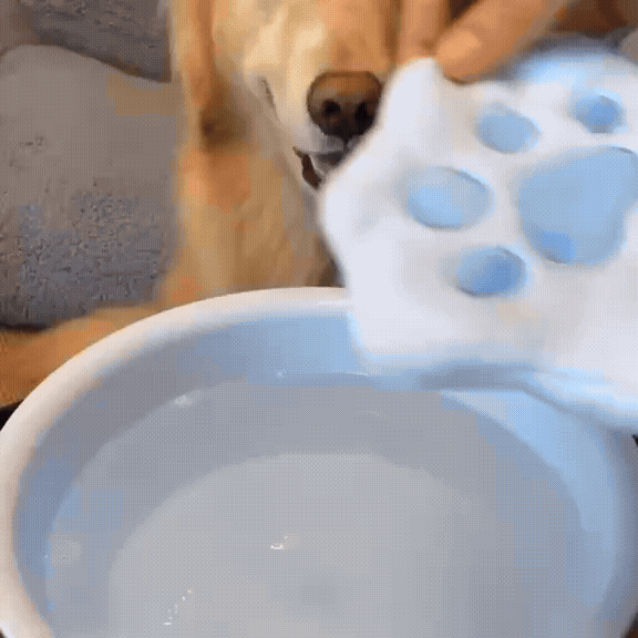 Quick-Dry Pet Bath Towel