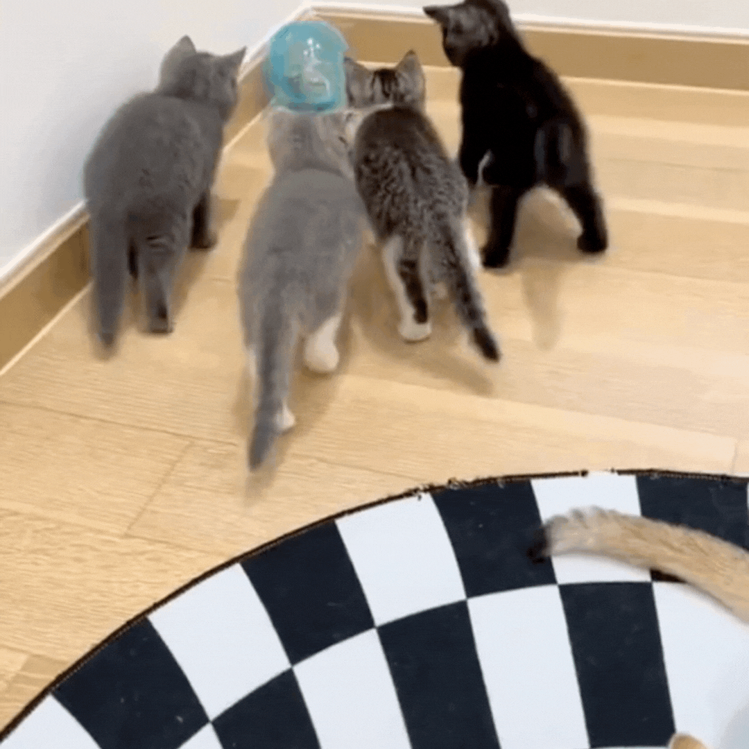 Hamster-Style Rolling Activity Ball