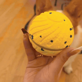 Rechargeable Rolling Dog Chew & Activity Ball