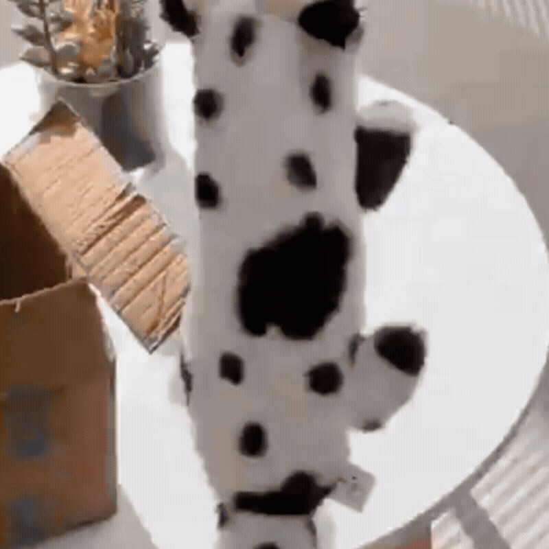 Stuffing-Free Dog Toy with Crinkle & Squeak