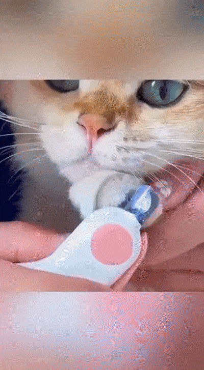 Pet Nail Clippers with Built-In Light