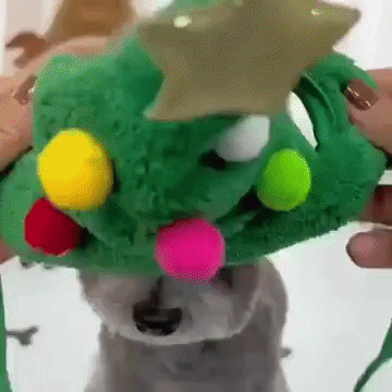 Festive Christmas Outfits for Dogs
