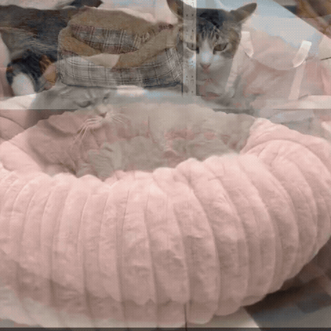 Personalised Round Plush Cat Bed