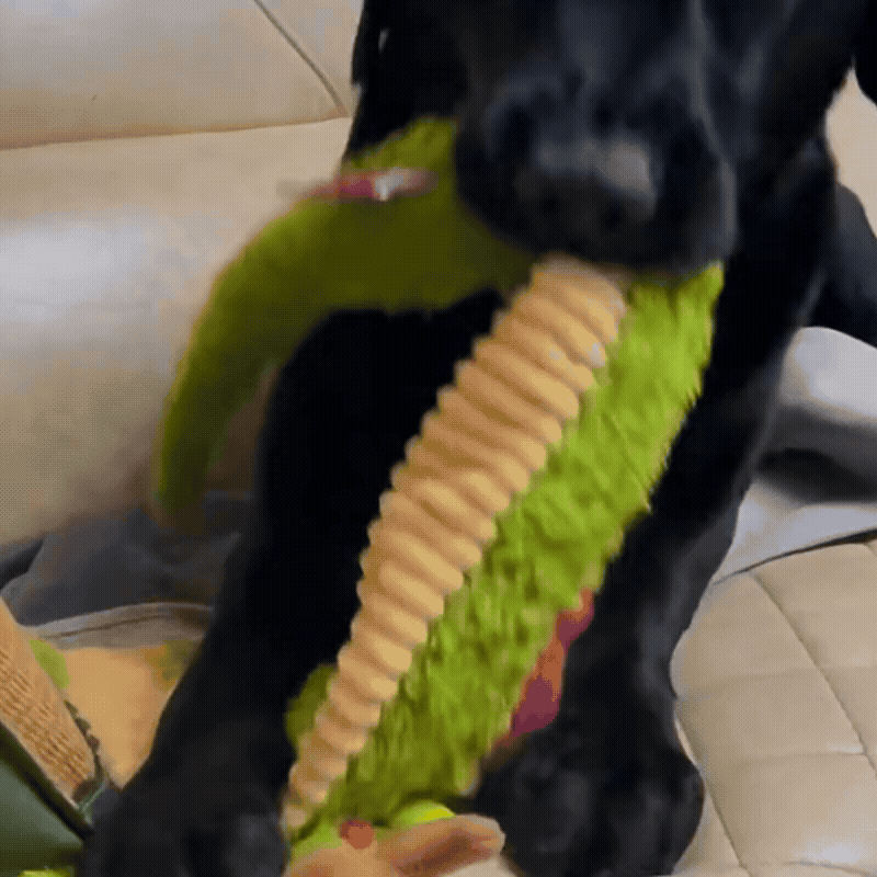 Plush Dragon Squeak & Crinkle Dog Toy