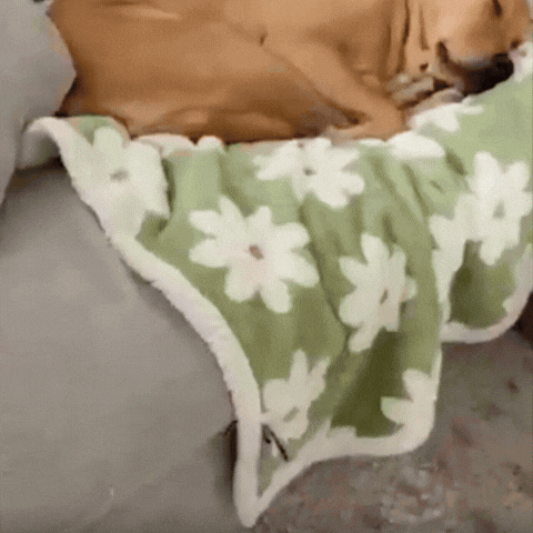 Reversible Waterproof Pet Furniture Blanket