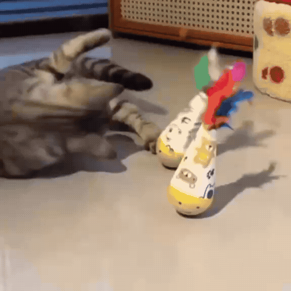 Beechwood Roly-Poly Pet Play Toy