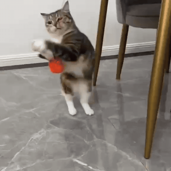 Rechargeable Lifting Pom-Pom Cat Teaser