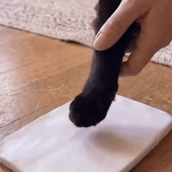 Pet Paw Impression & Photo Frame Kit