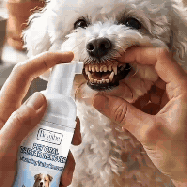 Dog Oral Care Foam