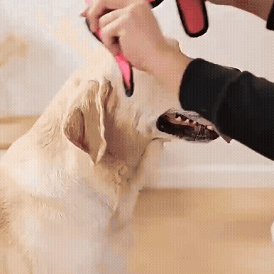 Noise-Reducing Dog Ear Cover