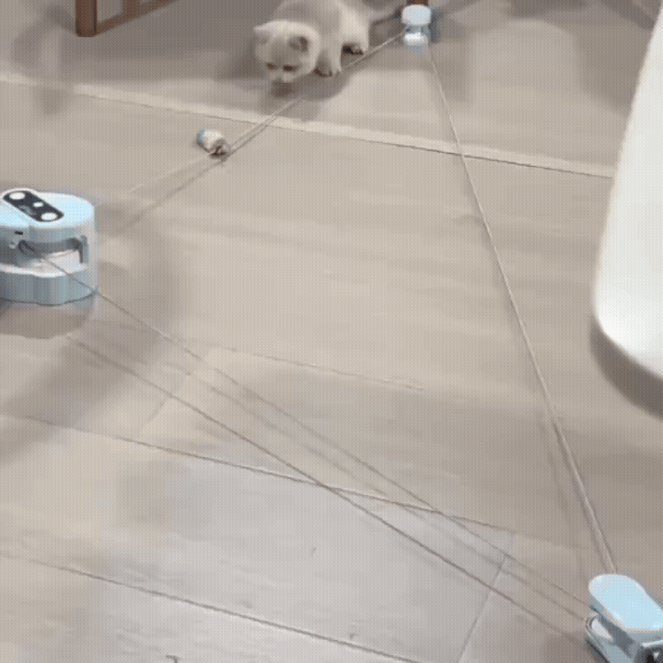 Automatic Chase Track for Cats