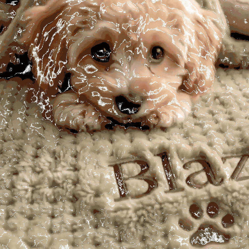 Custom-Embroidered Fluffy Dog Blanket