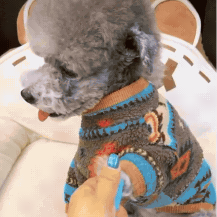 Self-Adhering Pet Paw Wrap
