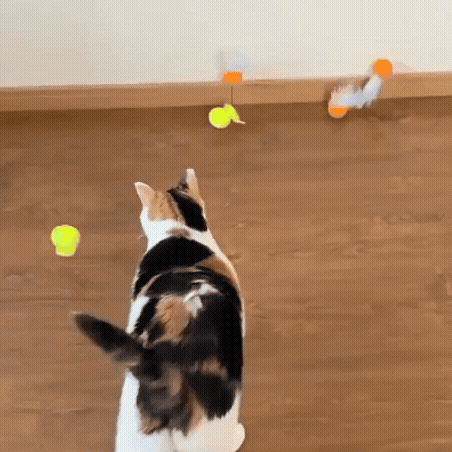 Plush Tail & Squeak Cat Play Balls — Set of 2