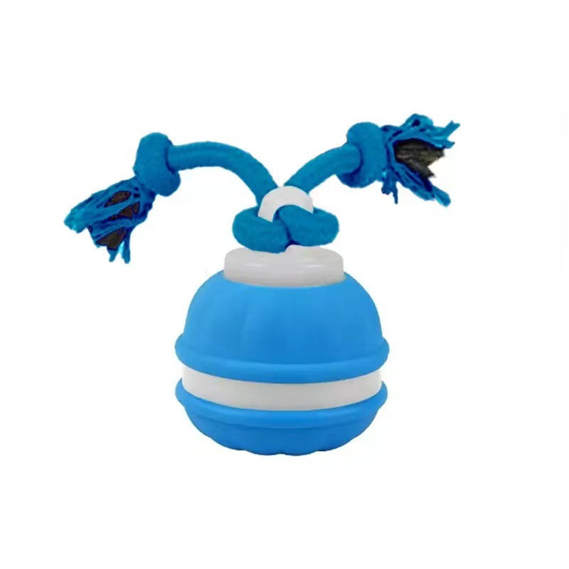 Motion-Sensing Dog Ball with Tug Rope