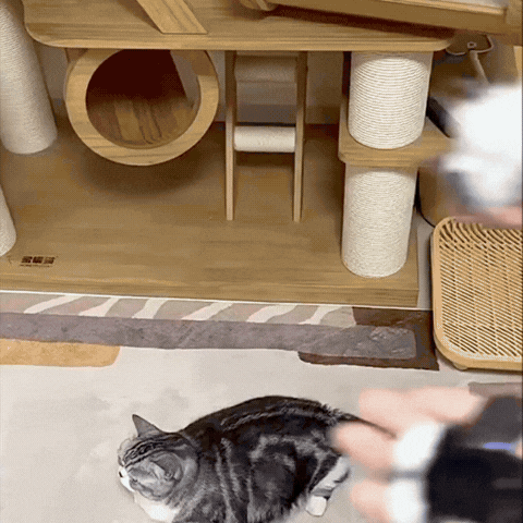Motion-Activated Flying Bug Cat Toy