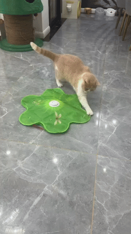 Butterfly & Feather Cat Activity Mat