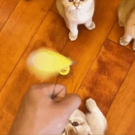 Automatic Butterfly & Laser Cat Activity Toy