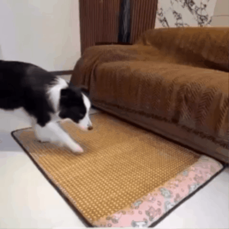 Breathable Rattan-Style Dog Resting Mat