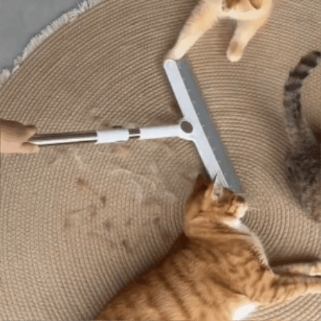 Silicone Pet Fur Cleaning Broom