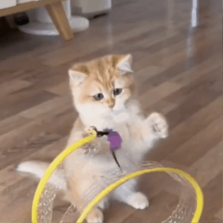 Foldaway S-Curve Cat Play Tunnel