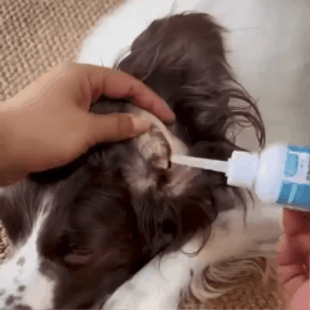 Dog Ear Care Drops
