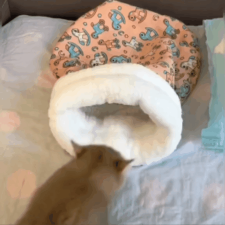 Cosy Cat Sleeping Bag Bed