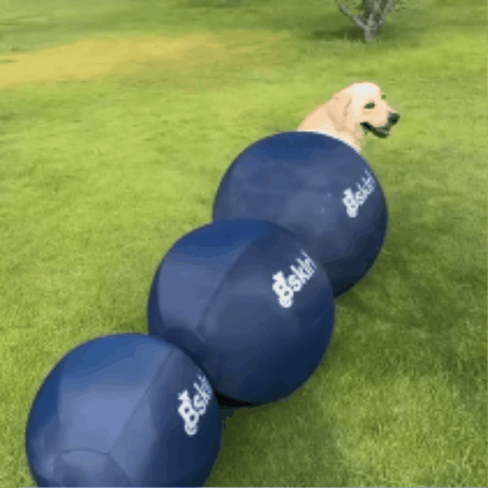 Inflatable Dog Herding & Chase Ball