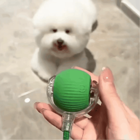 Rolling Dog Activity Ball with Mesh Tail