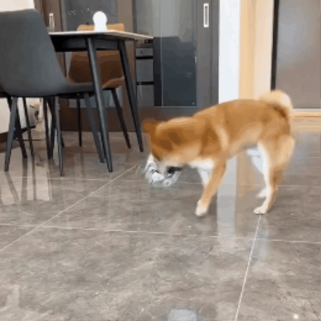 Dog Play Ball with Tug Handles