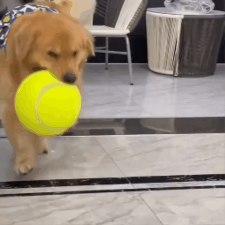 Oversized Tennis-Style Dog Play Ball