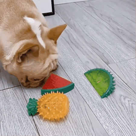 Fruit-Shaped Cooling Dog Chew Toy