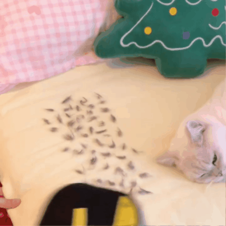 Reusable Pet Hair Cleaning Glove