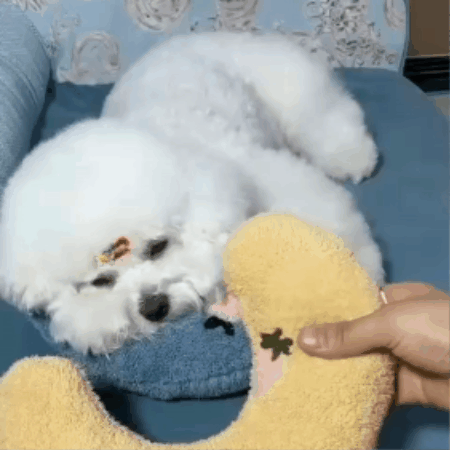 Supportive Dog Resting Pillow