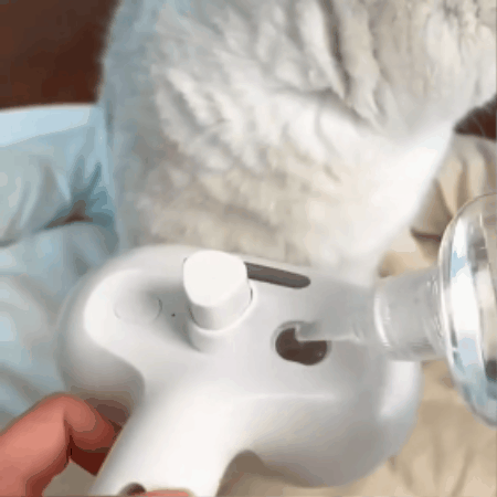 Pet Grooming Brush with Mist Feature