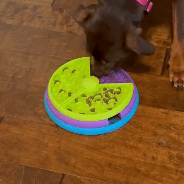 Multi-Level Pet Enrichment Feeding Bowl