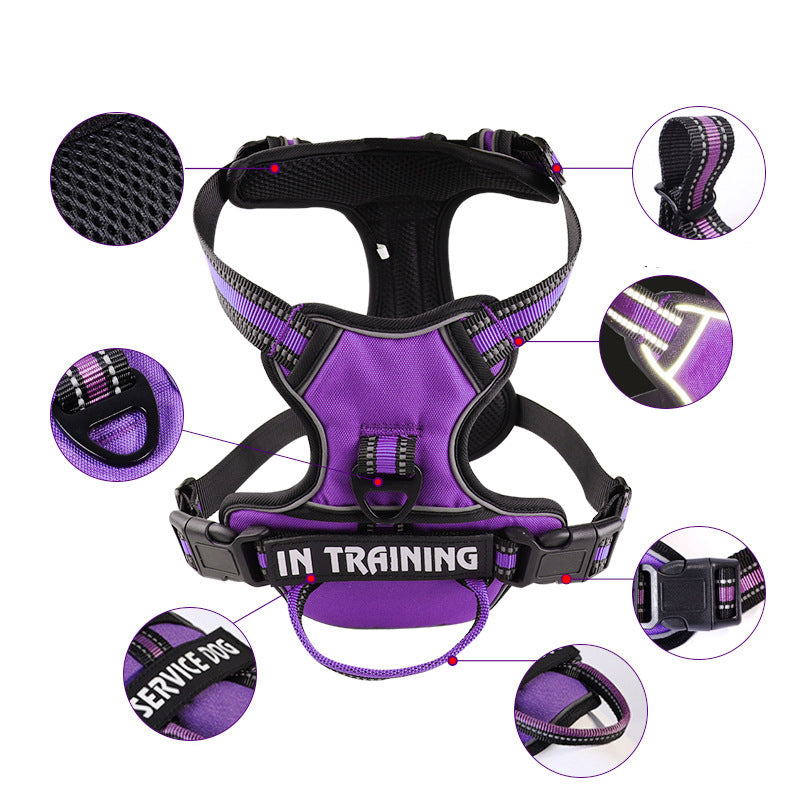 Personalised Y-Front Dog Walking Harness