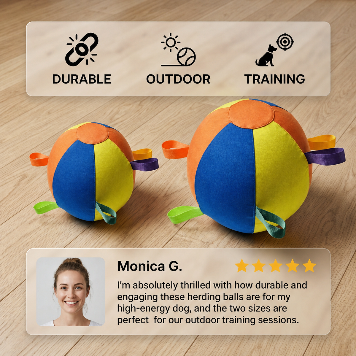 Colourful Dog Herding Ball with Carry Handles