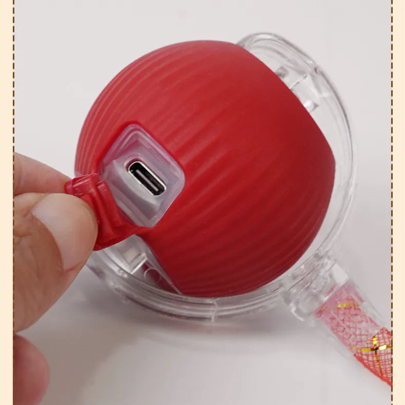 Rolling Dog Activity Ball with Mesh Tail