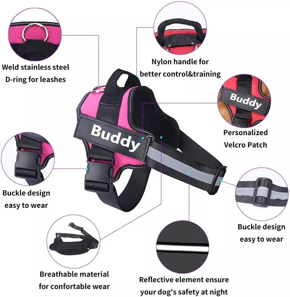 Personalised Dog Harness for Everyday Walks