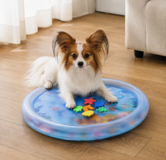 Interactive Water-Filled Dog Cooling Bed 2.0