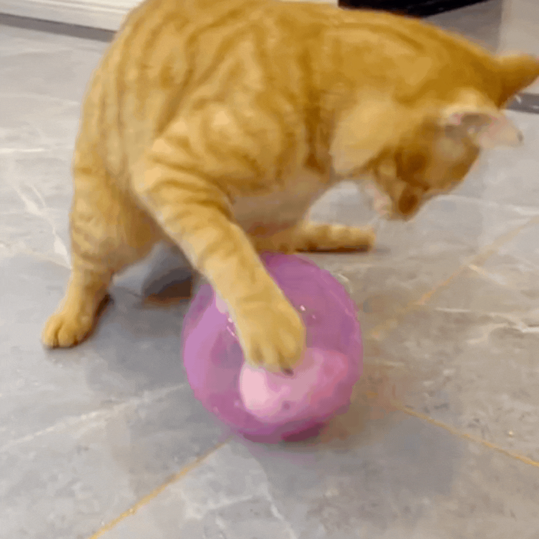 Hamster-Style Rolling Activity Ball