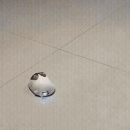 Touch-Responsive Robot Cat Activity Toy