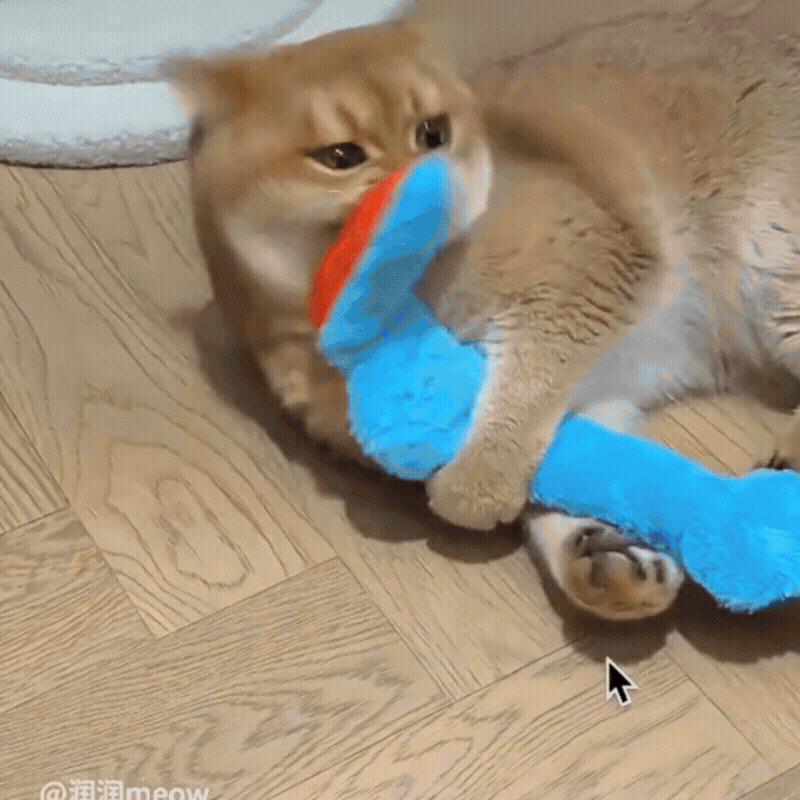 Crinkly Catnip Kicker & Cuddle Toy