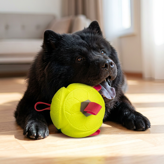 Dog Tug & Fetch Play Ball