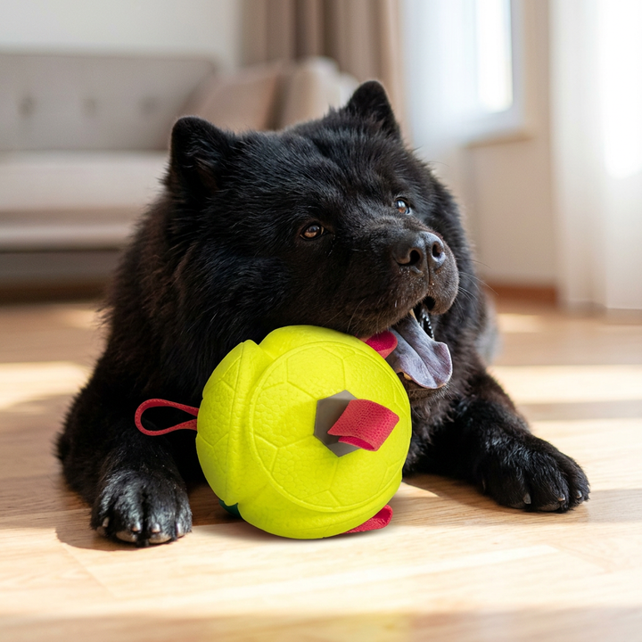 Dog Tug & Fetch Play Ball
