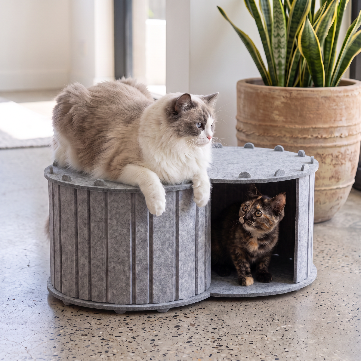 Cat Hideaway Bed with Built-In Scratching Area