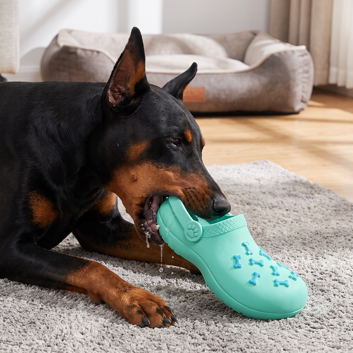 Slipper-Shaped Squeaky Dog Toy