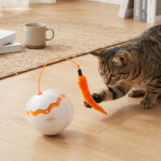 Automatic Wobble-Egg Cat Feather Teaser